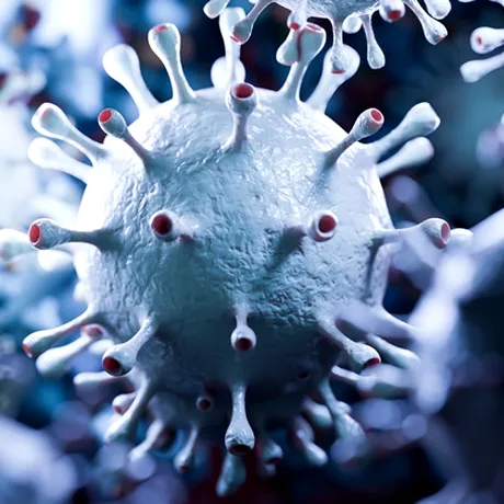 Virusul mortal fără leac și fără vaccin care pune lumea în alertă. Ce este virusul Nipah și de ce e periculos?