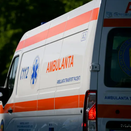 Un copil de 2 ani din București a ajuns la spital în stare gravă, după ce a fost muşcat de câinele rudelor pe care le vizita cu mama lui