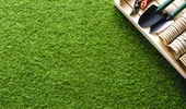 Gazonul s-a îngălbenit din cauza caniculei? Ce poți face pentru a salva peluza fără să o replantezi