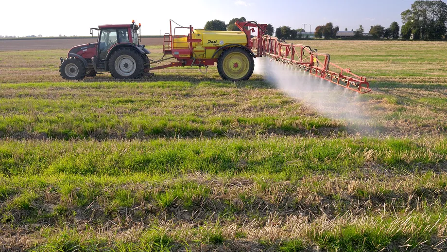 Cauza REALĂ a intoleranței la gluten: CHIMICALELE cu care sunt stropite culturile de cereale