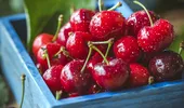 De ce este bine să mănânci cireşe. Beneficiile acestui fruct