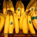 Bananele cu pete maronii: ce se schimbă în compoziția lor și sunt mai sănătoase sau doar mai dulci?