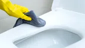Cu ce să cureți capacul de toaletă pentru a arăta ca nou. Spune adio petelor galbene