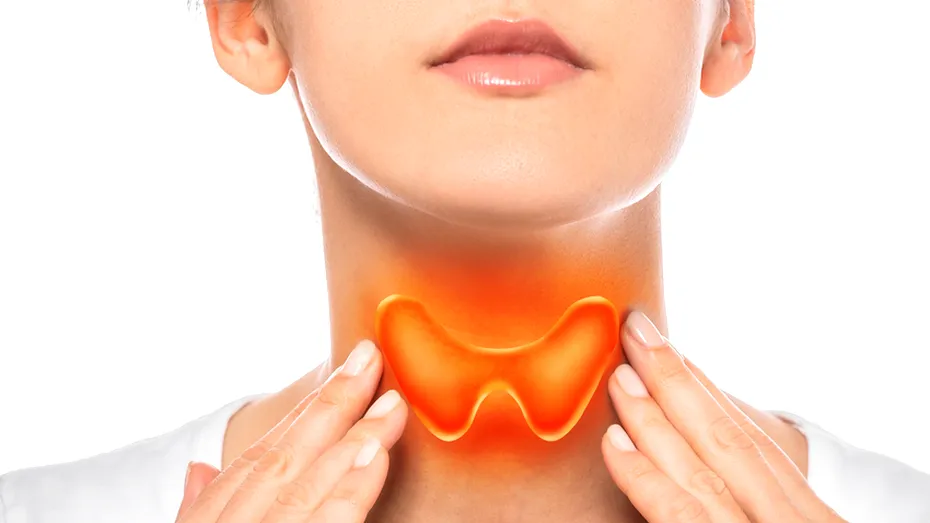 Tiroida - totul despre glanda din gât: boli, funcții, noduli tiroidieni, simptome ale tiroidei bolnave, cancer de tiroidă, analize și teste medicale. Explică dr. Iulia Burcea, endocrinolog