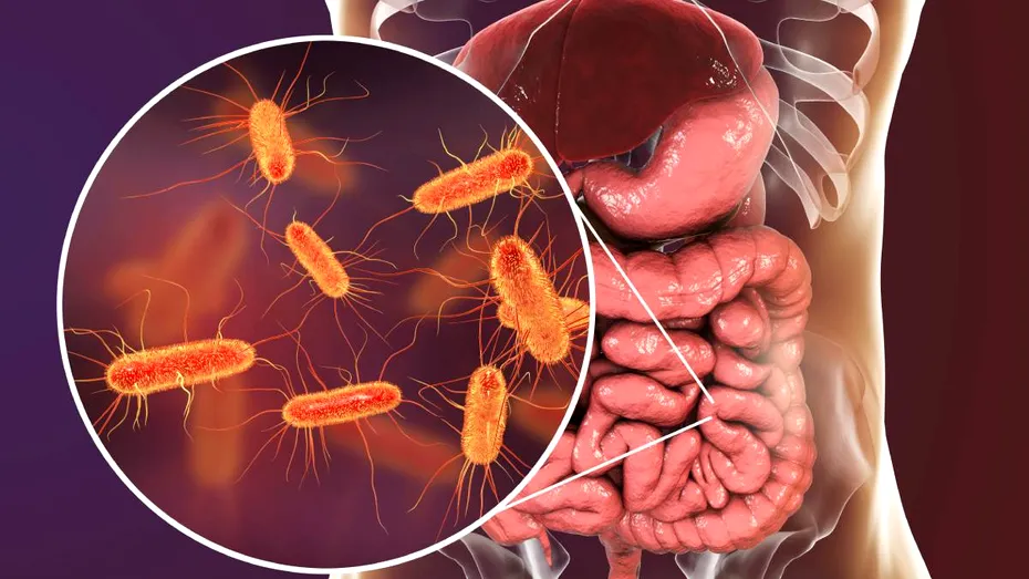 Lista medicamentelor eliberate pe bază de rețetă care pot afecta microbiomul