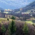 „Zona albastră” a României. Satul unde oamenii trăiesc peste 100 de ani, nu merg la medic și mănâncă ce vor