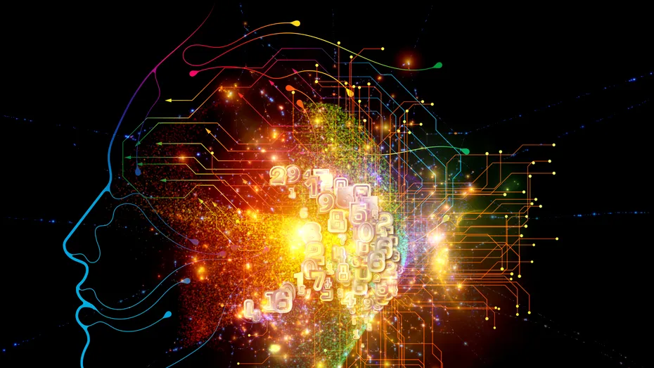 Orele din zi în care inteligența atinge vârful maxim și când atinge minimul. Neurochirurg: Nu luați decizii în acest interval