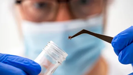 Formă rară de boală Lyme depistată recent: simptome mai severe și avertismentul medicilor