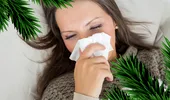 Alergia la bradul de Crăciun – simptome, cauze, soluții