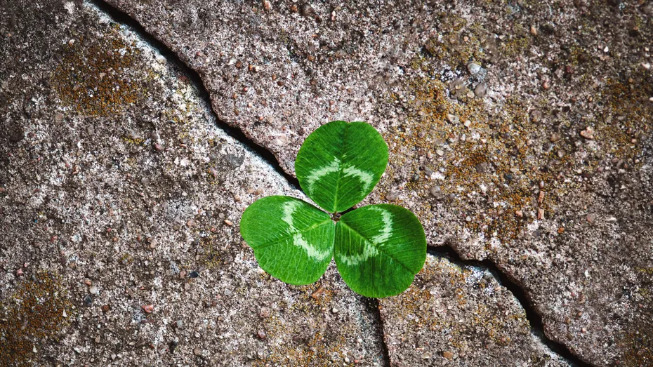 Dezvoltarea personală în era digitală: 4 pași prin care ne putem autodepăși