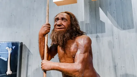 6 trăsături ciudate care îți confirmă că poți avea ADN de Neanderthal
