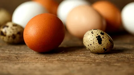 Este sigur pentru sănătate să consumăm ouă expirate? Ghidul complet pentru verificarea prospețimii acestora