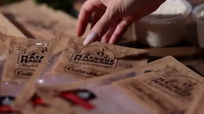 Aperitive festive cu gust autentic, pentru Crăciun și Anul Nou