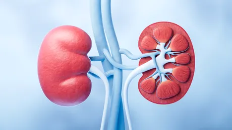 Poți pierde până la 80% din funcția rinichilor fără simptome. Semnele pe care medicii spun să nu le ignori