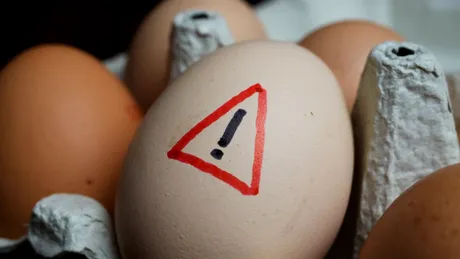 În sfârșit, aflăm adevărul despre colesterolul din ouă! Descoperirea care schimbă totul
