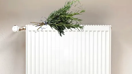 Ce se întâmplă dacă pui o crenguță de rozmarin pe calorifer. Trucul cunoscut de puțini români