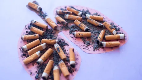 Impactul alternativelor fără fum în rândul adulților fumători, privind boala pulmonară obstructivă cronică