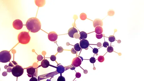 Prof. Dr Ihor Huk: oxidul nitric este cea mai importantă moleculă pentru sănătate