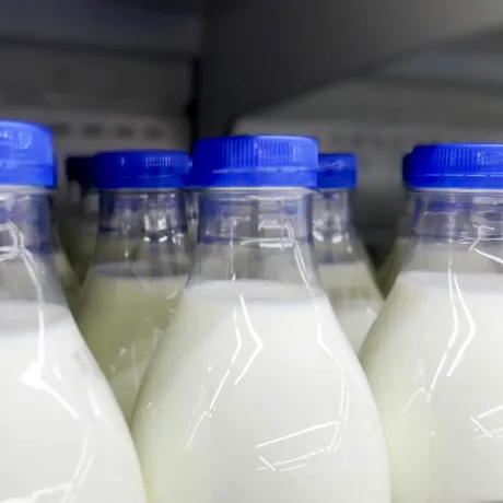 Laptele degresat e mai puțin nutritiv sau e o alegere sănătoasă? 100 ml conține 69-75 calorii