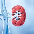 Poți pierde până la 80% din funcția rinichilor fără simptome. Semnele pe care medicii spun să nu le ignori