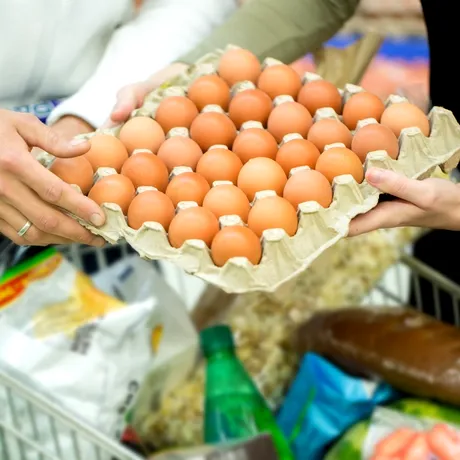 Ouăle din supermarket, sub lupă înainte de sărbători. Ce au descoperit experții și care sunt cele mai sigure produse