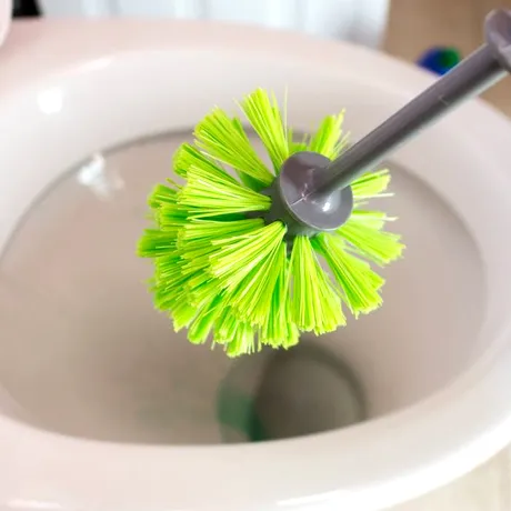 Cum să cureți corect peria de toaletă și la cât timp trebuie să o schimbi cu una nouă