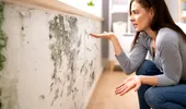 Expunerea la mucegai: riscurile pentru sănătate și cum te protejezi
