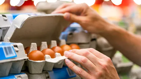 Peste 1,5 milioane de cutii de ouă, retrase din magazine din cauza riscului de Salmonella