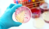 Cercetătorii au descoperit un nou antibiotic. Medicamentul care poate distruge o bacterie mortală