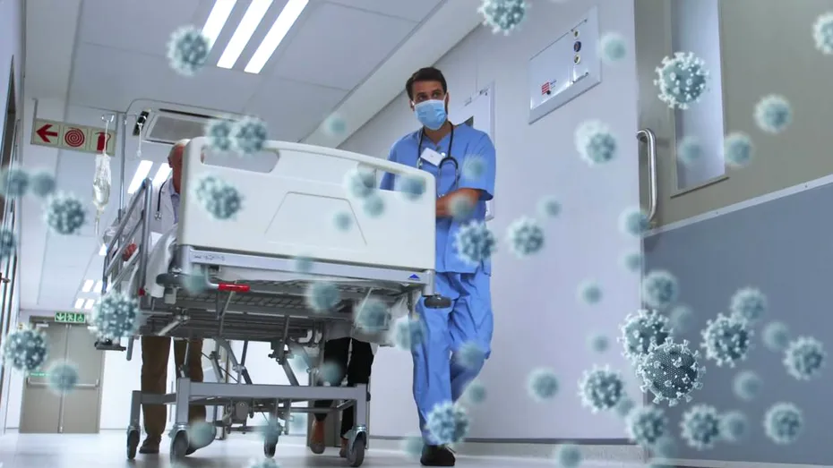 „Long-Hantavirus”? Cercetătorii analizează efectele pe termen lung ale infecției, după modelul Long Covid