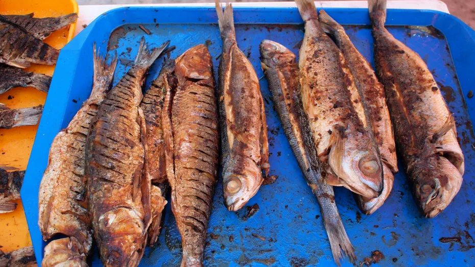 Cel mai curat pește din România - Scrumbia de Dunăre. Beneficii pentru sănătate și 4 rețete de încercat