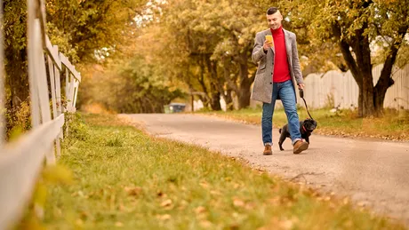Atenție la plimbările cu câinele! Dacă ești distras de telefon, îl poți enerva. Importanța conectării cu animalul tău de companie