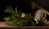 Planta aromatică ce poate susține memoria și concentrarea. Cum se folosește și ce contraindicații are