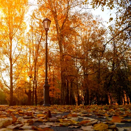 ANM anunță prognoza meteo pentru luna noiembrie 2025. Vreme va fi mai caldă decât normalul perioadei în prima săptămână
