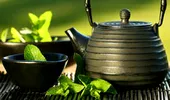 Spirulina, ceaiul verde, apetitul şi slăbirea
