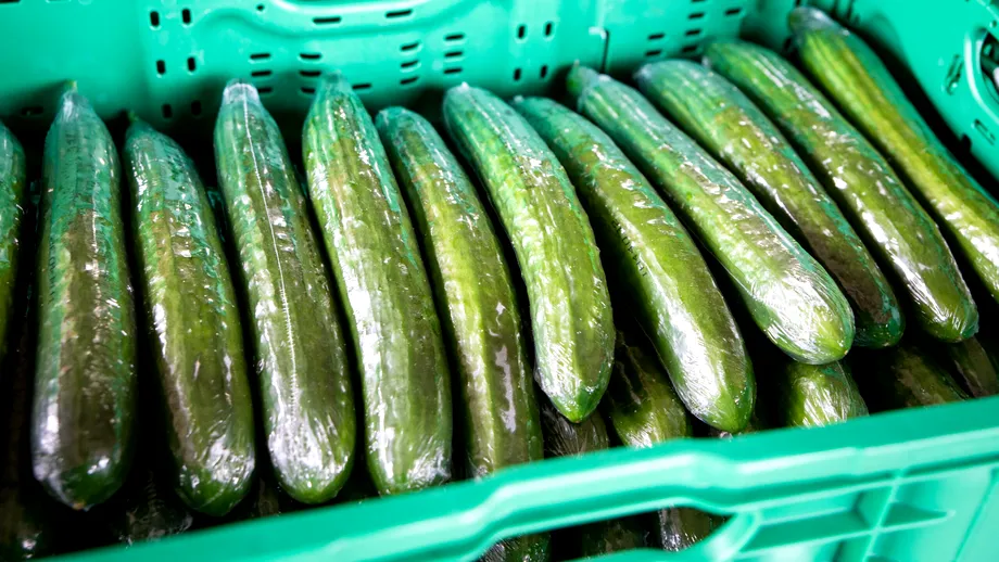 Trei motive pentru care castraveții sunt înveliți în plastic