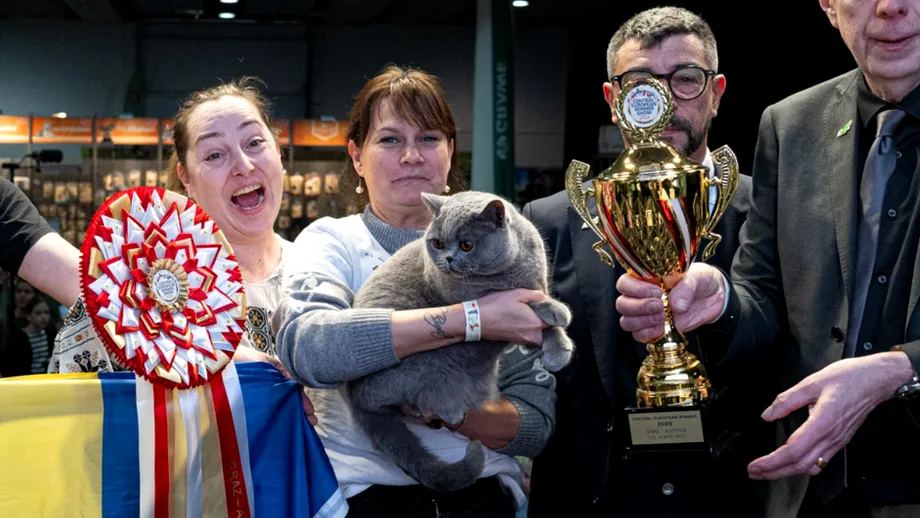 Cum arată cea mai frumoasă pisică din Europa. Felina este din România și i se spune „ursoaica de Bucovina”