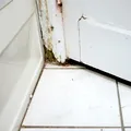 Metoda rapidă de 2 minute care previne definitiv apariția mucegaiului în baie