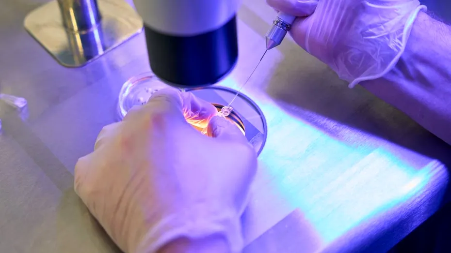 Descoperire revoluționară: Celulele stem ar putea deveni scutul biologic împotriva expunerii letale la radiații