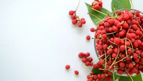 Știai că există o plantă care ajută la reglarea hormonilor?