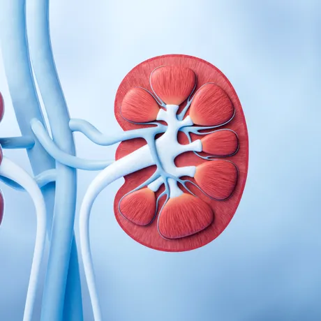 Culoarea urinei care poate indica probleme la rinichi. Explicația medicilor