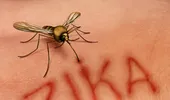 Prima persoană infectată cu virusul Zika confirmată în România