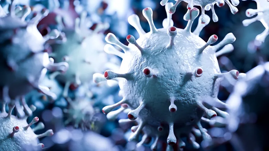 Virusul mortal fără leac și fără vaccin care pune lumea în alertă. Ce este virusul Nipah și de ce e periculos?