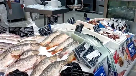 Cel mai otrăvitor pește din lume. Se găsește în toate supermarketurile din România
