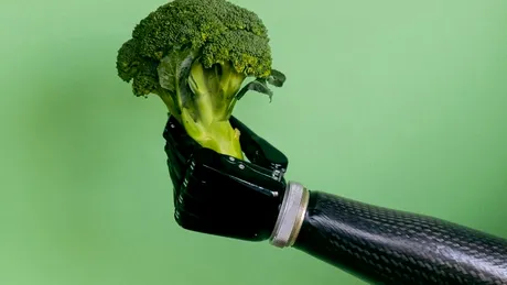 O enzimă din broccoli ajută la menţinerea tinereţii