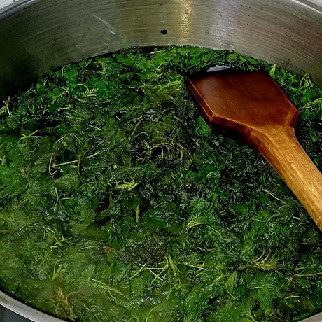 Cea mai simplă mâncare de urzici, după rețeta călugărului bucătar Efrem Băndărică