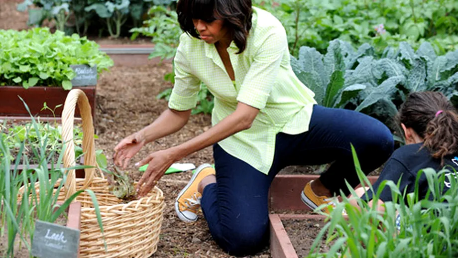 Prima doamnă a Statelor Unite are propria recoltă de legume la Casa Albă