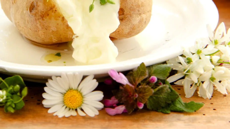 Cartofi cu quark - cina lejeră, delicioasă și ieftină a nemților