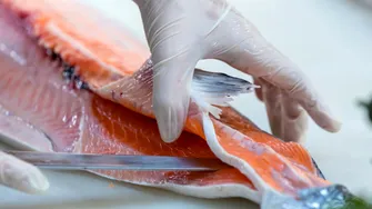 Pericol în Postul Paștelui! Peștele pe care trebuie să-l eviți. Este considerat cel mai toxic din lume și conține peste 70 de paraziți