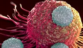 Imunoterapia creşte speranţa de viaţă: INTERVIU EXCLUSIV cu unul dintre cei mai reputaţi oncologi din Europa